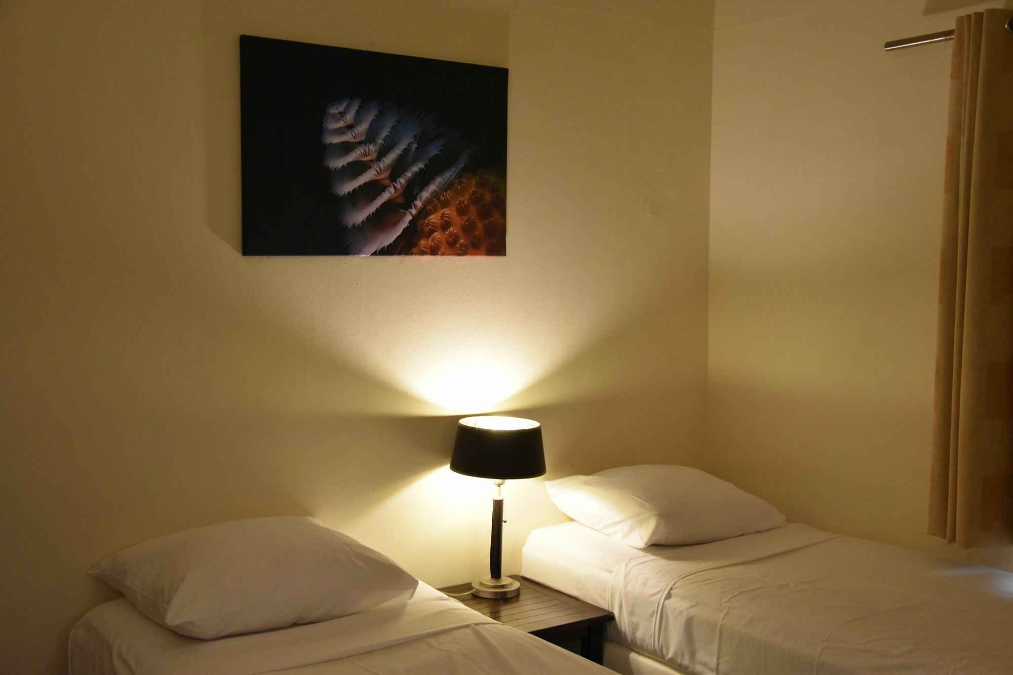 Caribbean Club Bonaire Aparthotel Kültér fotó